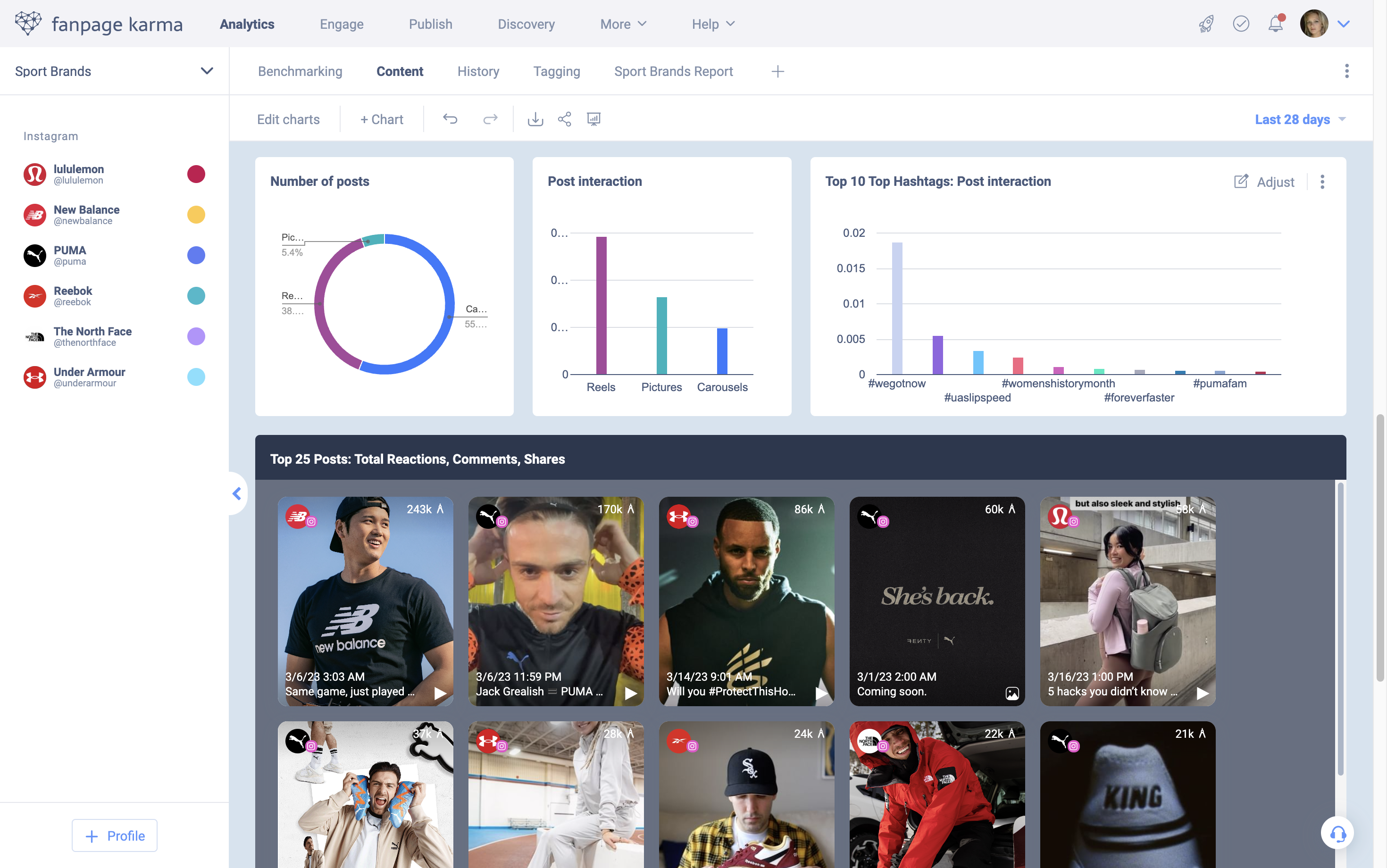 screenshot of Fanpage Karma